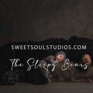 The Sleepy Bear