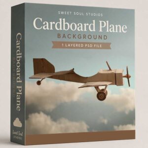 The Cardboard Plane