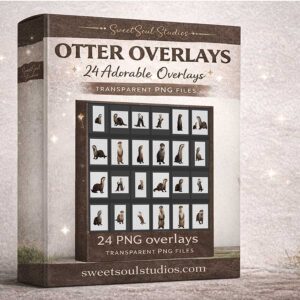 Otter Overlays