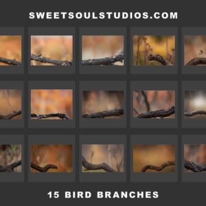 The 15 Bird Branches