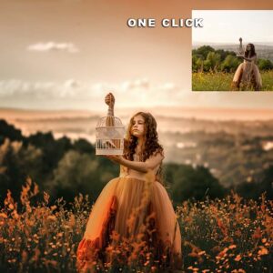 The One Click Sunset Vibes