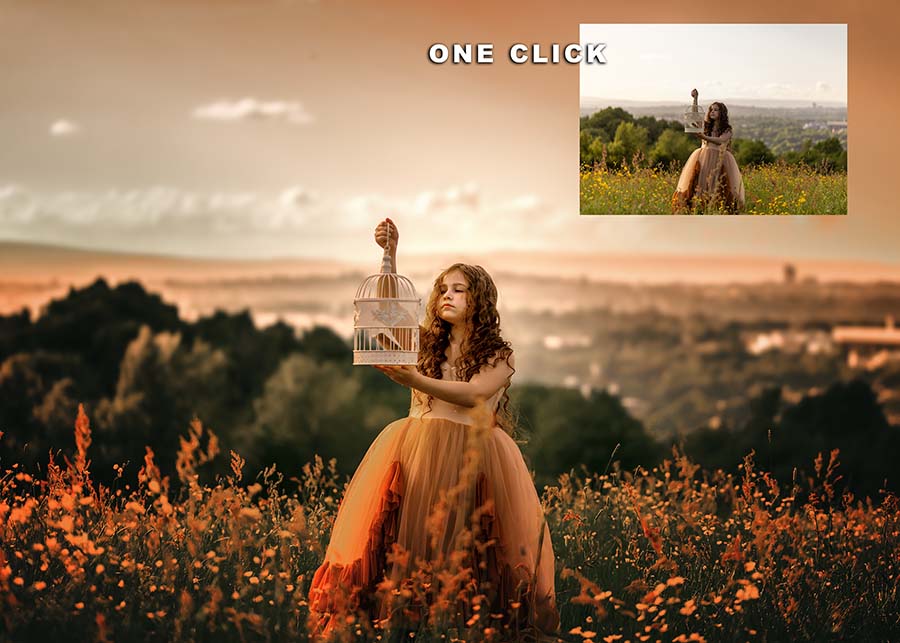 The One Click Sunset Vibes