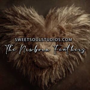 The Newborn Feathers