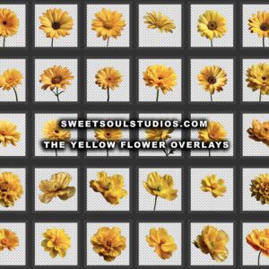 The Yellow Flower overlays
