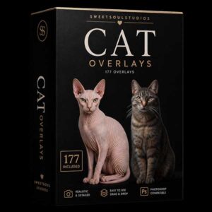 The Cat Overlays