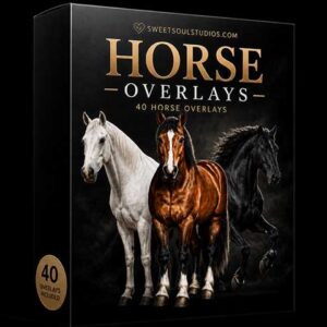 The Horse Overlays