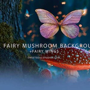 The Fairy Mushroom Background