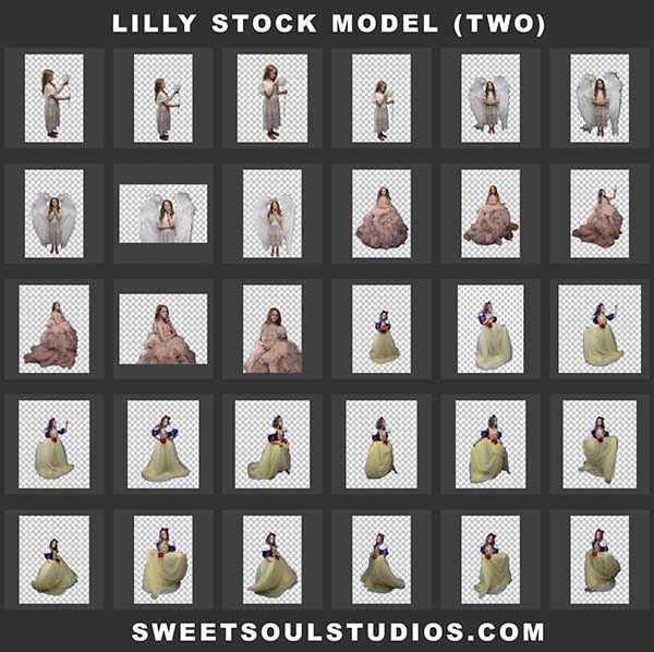 Lilly (TWO) stock model