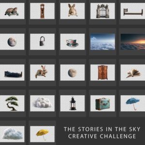 Elsa's Stories in the Skies Challenge