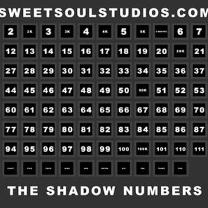 The Shadow Numbers