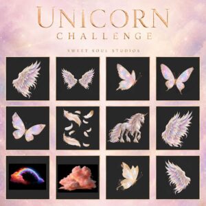 The Unicorn Challenge