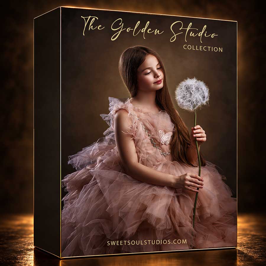 The Fine Art Golden Studio Collection - Image 13