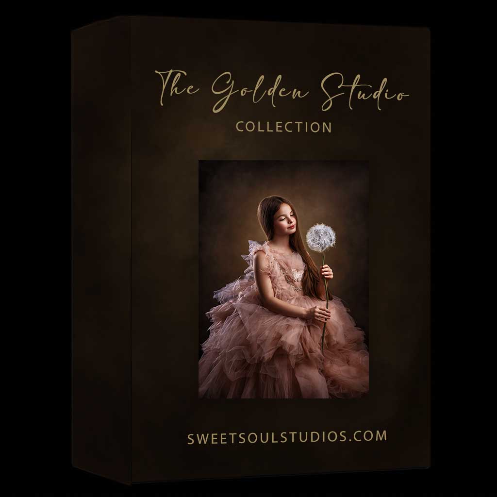 The Fine Art Golden Studio Collection - Image 2