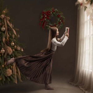 The Fine Art Christmas Overlays
